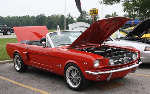 1965 Mustang Convertible - Phil and Rose Schieber - Charlestown, IN 