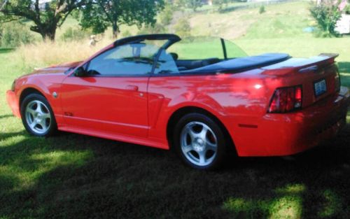 2004 Mustang Convertible - Scott and Sheila Spencer - Scottsburg IN