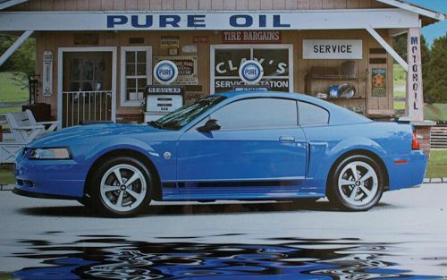 2004 Mustang Mach 1 Coupe - Steve and Nancy Merritt - New Albany, IN 