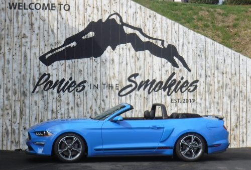 2022 Mustang GT/CS - Marty & Brenda Clegg - Nabb IN