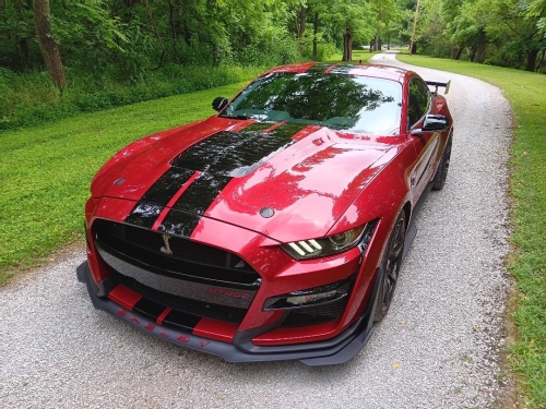 2020 Shelby GT 500 CFTP - Kevin & Della Kessans - New Albany IN
