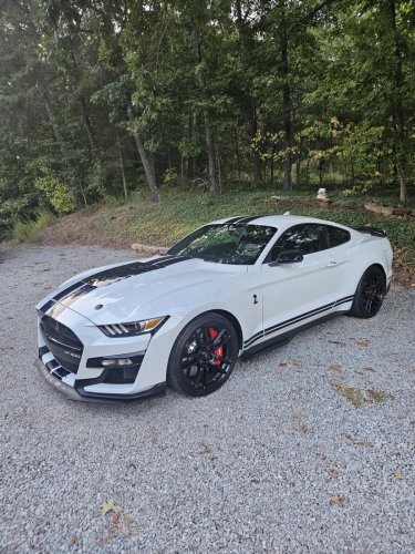 2022 Mustang GT500 - Al & Jennifer Luntzel - Memphis IN