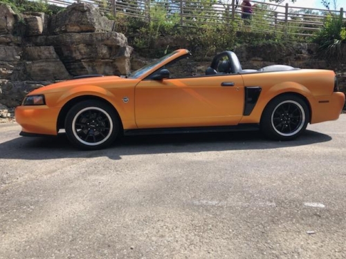 2004 Mustang GT Convertible 40th Anniversary - Phil and Callista Steinmetz - Jeffersonville, IN